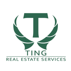 Ting Real Estate Services